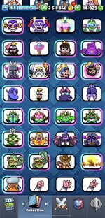 IMG_0305.jpeg