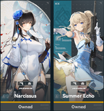 skin_vanguard.png