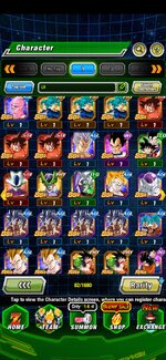 Screenshot_20250725_223611_Dokkan.jpg