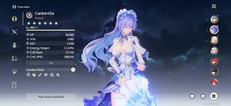 Screenshot_20250727_134258_Wuthering Waves.jpg