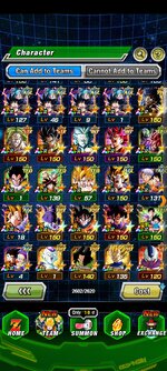 Screenshot_2025-07-29-11-02-21-119_com.bandainamcogames.dbzdokkanww.jpg