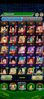 Screenshot_2025-07-29-11-02-44-828_com.bandainamcogames.dbzdokkanww.jpg