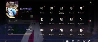 Screenshot_2025-07-29-22-46-18-475_com.kurogame.wutheringwaves.global-edit.jpg