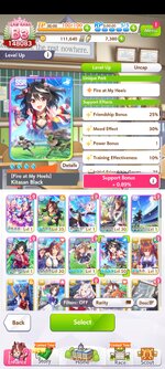 Screenshot_2025-08-05-02-12-30-973_com.cygames.umamusume.jpg