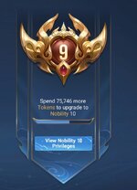 Screenshot_20250810_195135_Honor of Kings.jpg