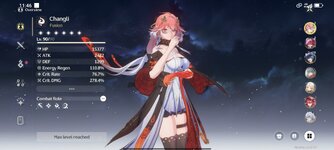 Screenshot_2025-08-11-11-46-33-806_com.kurogame.wutheringwaves.global.jpg