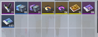 SS9.png
