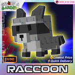 Raccoon_png.png