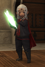 ffxiv_dx11_9AnZWvLY0t.png