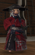 ffxiv_dx11_gd2dQfGeXB.png