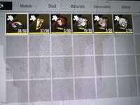 IMG_3267.jpeg