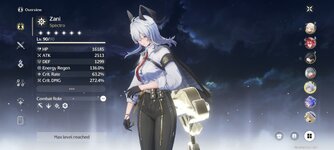 Screenshot_2025-09-04-09-36-09-463_com.kurogame.wutheringwaves.global.jpg