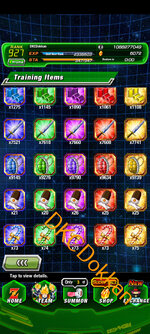 Screenshot_20250904-172022.Dokkan.jpg