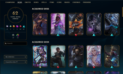 Skins2025 2024.png