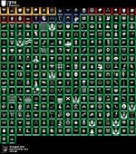 IMG_2085.jpeg