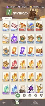 Screenshot_20250924_132732_AFK Journey.jpg