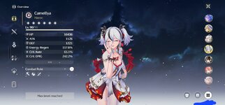 Screenshot_20250927_135626_Wuthering Waves.jpg
