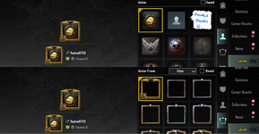 perfilCustom (1).png