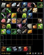 bag.JPG