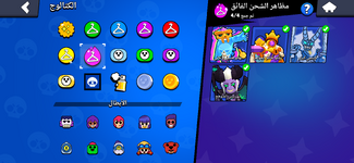 IMG_9013.png