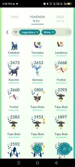 WhatsApp Image 2025-10-19 at 9.06.18 PM (1).jpeg