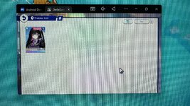 IMG_5962.jpeg