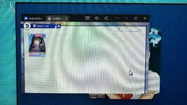 IMG_5977.jpeg