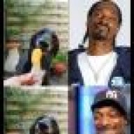 Pisteronial