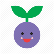 SummerPlum