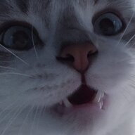 Decoyjkee