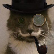 cowardlycat