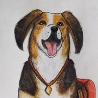 Jackthedoggie