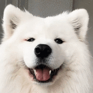 Samoyedic