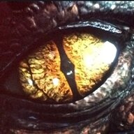TheDragon86