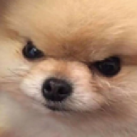267