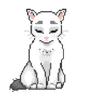 nynez