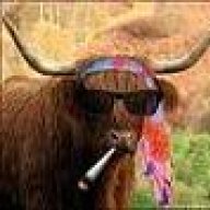 Hippycow