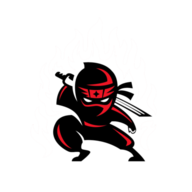 The Ninja
