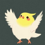 Togame