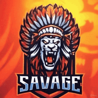 raidsavage