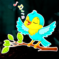 TurkuazBulbul