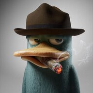KevinHL007