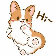 CorgiMS