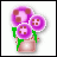 spooxxx