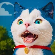Baka Neko