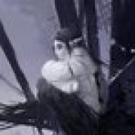 HellsingsFury