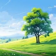 Meadow Escape