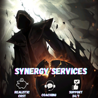 Synergy Services