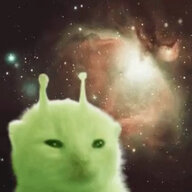Hakim_Meow