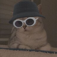 Meowdthh